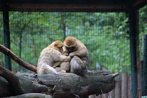 Peter Blei unterwegs: Der Zoo in Aschersleben