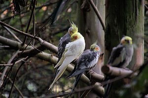 Peter Blei unterwegs: Der Zoo in Aschersleben