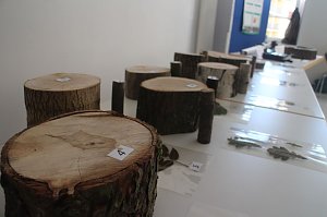 Tag der offenen T&uuml;r bei der Stadtverwaltung
