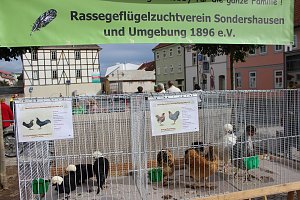 Buntes Familienfest