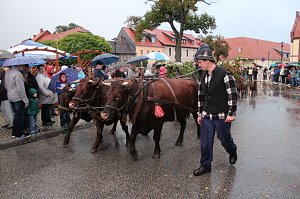 Bauernheer wurde nass gemacht