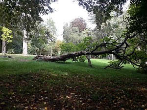 Pfad der Poesie im Park Hohenrode