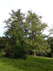 Pfad der Poesie im Park Hohenrode