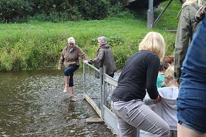 Abwassern an der Zorge
