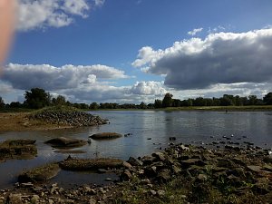 In der Elbe gefunden