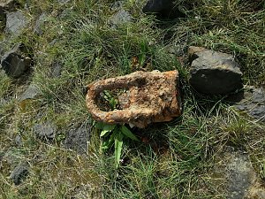 In der Elbe gefunden