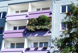 Stadt Frankenhausen sagt Danke