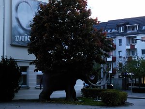 Natur- und andere Schauspiele