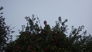 Apfelsaft-Aktion des KILA