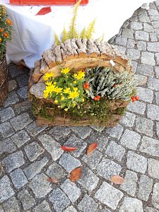 Menschen und K&uuml;rbisse