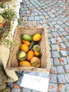 Menschen und K&uuml;rbisse