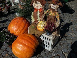 Menschen und K&uuml;rbisse