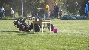 16. Mops-Rennen in Hachelbich