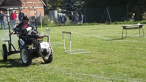 16. Mops-Rennen in Hachelbich