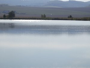 Fischerfest in Auleben