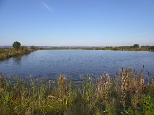 Fischerfest in Auleben
