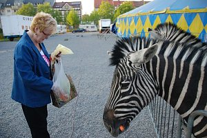 Circus Rolina gastiert in Nordhausen 