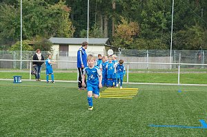 Mit Profis trainieren