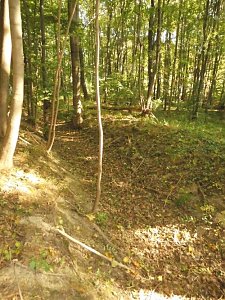 Wanderung durch den Harz