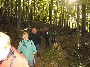 Wanderung durch den Harz
