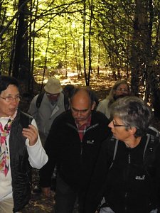 Wanderung durch den Harz