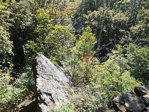 Wanderung durch den Harz
