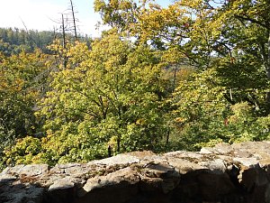Wanderung durch den Harz