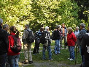 Wanderung durch den Harz