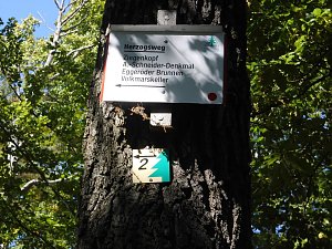 Wanderung durch den Harz