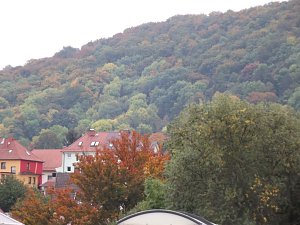 Bunt sind schon die Wälder,