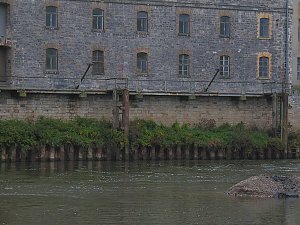 Saalemühle bei Bernburg