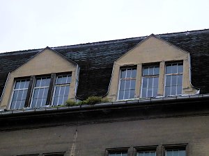 Saalemühle bei Bernburg
