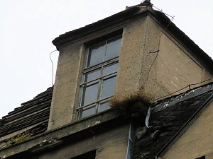 Saalemühle bei Bernburg