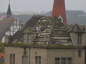 Saalemühle bei Bernburg