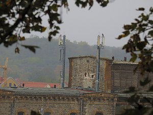 Saalemühle bei Bernburg