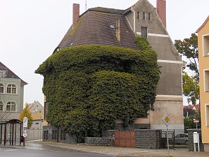 Unterwegs auf Schloss Bernburg