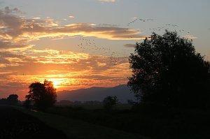 Auleben am Morgen