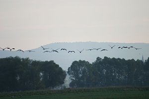 Auleben am Morgen