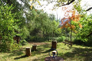 Ilfelder Ahornpark im Herbstlicht