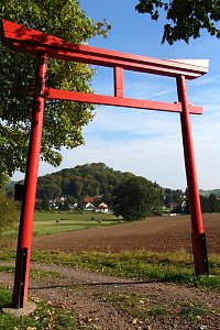 Ilfelder Ahornpark im Herbstlicht