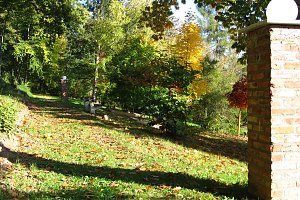 Ilfelder Ahornpark im Herbstlicht