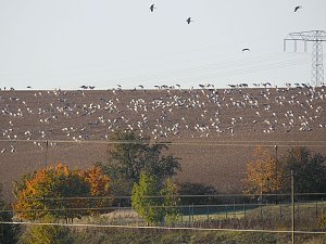 Die Flugschau ist er&ouml;ffnet
