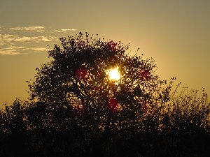Unwirklicher Ort