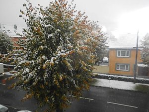 Winter in Ilfeld