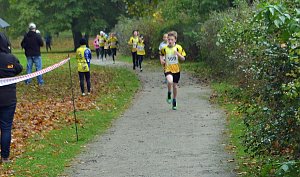 Impressionen vom 22. Stadtparklauf Sondershausen