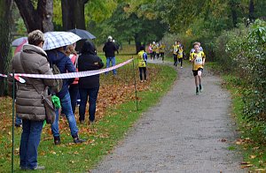 Impressionen vom 22. Stadtparklauf Sondershausen
