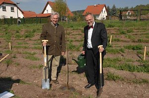 Tag des Waldes in Bad Frankenhausen