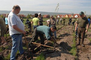 Tag des Waldes in Bad Frankenhausen