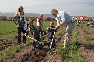 Tag des Waldes in Bad Frankenhausen