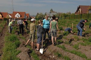 Tag des Waldes in Bad Frankenhausen